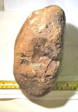 Amazon Valley Jasper 9.9 lbs (4480 grams) lapidary rough - radiantrocksct