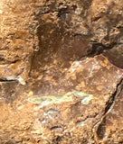 Amazon Valley Jasper 9.9 lbs (4480 grams) lapidary rough - radiantrocksct