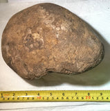 Amazon Valley Jasper 9.9 lbs (4480 grams) lapidary rough - radiantrocksct