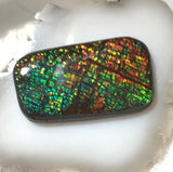 Ammolite Doublet 37 carats - radiantrocksct