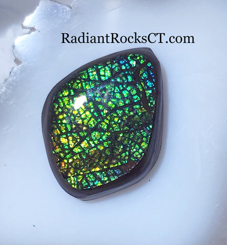 Ammolite Doublet 18.5 carats - radiantrocksct