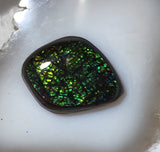 Ammolite Doublet 18.5 carats - radiantrocksct