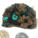 Arizona Chrysocolla heel slab 2.6 oz (75 grams) - radiantrocksct