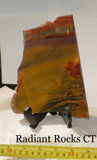Australian Marramamba tiger eye /ironstone lapidary slab 10.0 oz (280 grams) - radiantrocksct