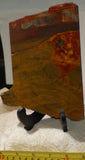 Australian Marramamba tiger eye /ironstone lapidary slab 12.6 oz (360 grams) - radiantrocksct