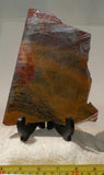 Australian Marramamba tiger eye /ironstone lapidary slab 11.2 oz (320 grams) - radiantrocksct
