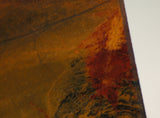 Australian Marramamba tiger eye /ironstone lapidary slab 11.2 oz (320 grams) - radiantrocksct