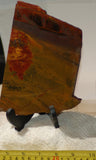 Australian Marramamba tiger eye /ironstone lapidary slab 10.8 oz (310 grams) - radiantrocksct