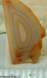 Brazilian Agate  slab - Radiant Rocks CT