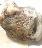 Nova Scotia Bay of Fundy mossy plume agate heel 3.4 oz (95 grams) - radiantrocksct