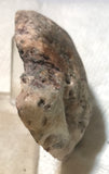Nova Scotia Bay of Fundy mossy plume agate heel 3.4 oz (95 grams) - radiantrocksct