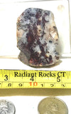 Nova Scotia Bay of Fundy mossy plume agate slab 1.6 oz (45 grams) - radiantrocksct