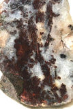 Nova Scotia Bay of Fundy mossy plume agate slab 1.6 oz (45 grams) - radiantrocksct