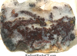 Nova Scotia Bay of Fundy mossy plume agate slab 1.6 oz (45 grams) - radiantrocksct