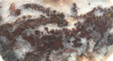 Nova Scotia Bay of Fundy mossy plume agate slab 1.6 oz (45 grams) - radiantrocksct
