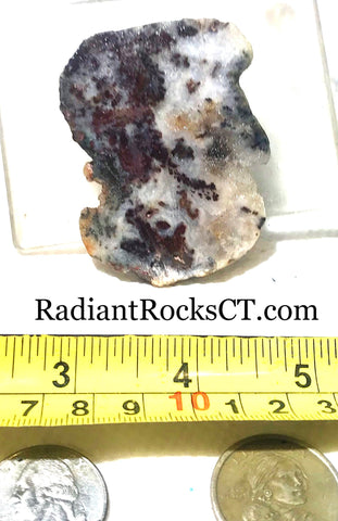 Nova Scotia Bay of Fundy mossy plume agate slab 1.2 oz (35 grams) - radiantrocksct