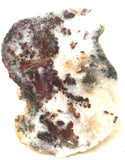 Nova Scotia Bay of Fundy mossy plume agate slab 1.2 oz (35 grams) - radiantrocksct
