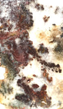Nova Scotia Bay of Fundy mossy plume agate slab 1.2 oz (35 grams) - radiantrocksct
