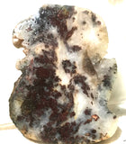Nova Scotia Bay of Fundy mossy plume agate slab 1.2 oz (35 grams) - radiantrocksct