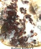 Nova Scotia Bay of Fundy mossy plume agate slab 1.2 oz (35 grams) - radiantrocksct
