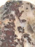 Nova Scotia Bay of Fundy mossy plume agate slab 1.2 oz (35 grams) - radiantrocksct