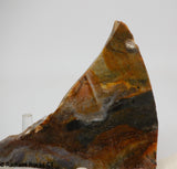 Biggs Jasper Lapidary slab 3.6 oz (100 grams)