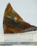 Biggs Jasper Lapidary slab 3.6 oz (100 grams)