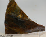Biggs Jasper Lapidary slab 3.6 oz (100 grams)