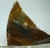 Biggs Jasper Lapidary slab 3.6 oz (100 grams)