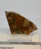 Biggs Jasper Lapidary slab 3.8 oz (115 grams)