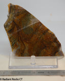 Biggs Jasper Lapidary slab 3.8 oz (115 grams)