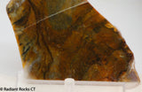 Biggs Jasper Lapidary slab 3.8 oz (115 grams)
