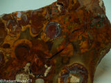 Bird's Eye Rhyolite Slab - Radiant Rocks CT