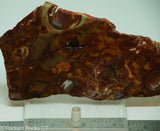 Bird's Eye Rhyolite Slab - Radiant Rocks CT