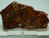 Bird's Eye Rhyolite Slab - Radiant Rocks CT