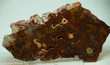 Bird's Eye Rhyolite Slab - Radiant Rocks CT