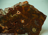 Bird's Eye Rhyolite Slab - Radiant Rocks CT