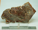 Bird's Eye Rhyolite Slab - Radiant Rocks CT