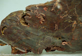 Bird's Eye Rhyolite Slab - Radiant Rocks CT