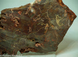 Bird's Eye Rhyolite Slab - Radiant Rocks CT