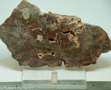 Bird's Eye Rhyolite Slab - Radiant Rocks CT