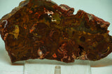 Bird's Eye Rhyolite Slab - Radiant Rocks CT