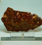 Bird's Eye Rhyolite Slab - Radiant Rocks CT