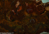 Bird's Eye Rhyolite Slab - Radiant Rocks CT