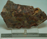 Bird's Eye Rhyolite Slab - Radiant Rocks CT