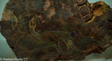 Bird's Eye Rhyolite Slab - Radiant Rocks CT