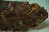 Bird's Eye Rhyolite Slab - Radiant Rocks CT
