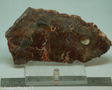 Bird's Eye Rhyolite Slab - Radiant Rocks CT
