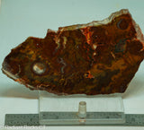Bird's Eye Rhyolite Slab - Radiant Rocks CT