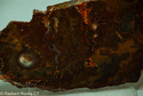 Bird's Eye Rhyolite Slab - Radiant Rocks CT